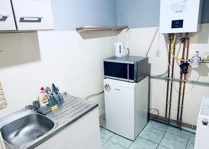 Take Ionescu Apartmán Temešvár